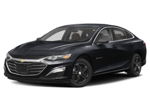 2025 Chevrolet Malibu Paynesville, MN