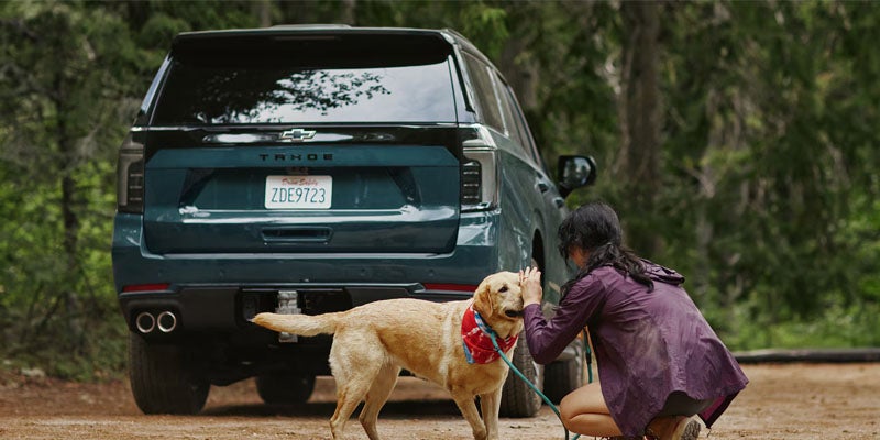 2026 Chevrolet Tahoe Back View